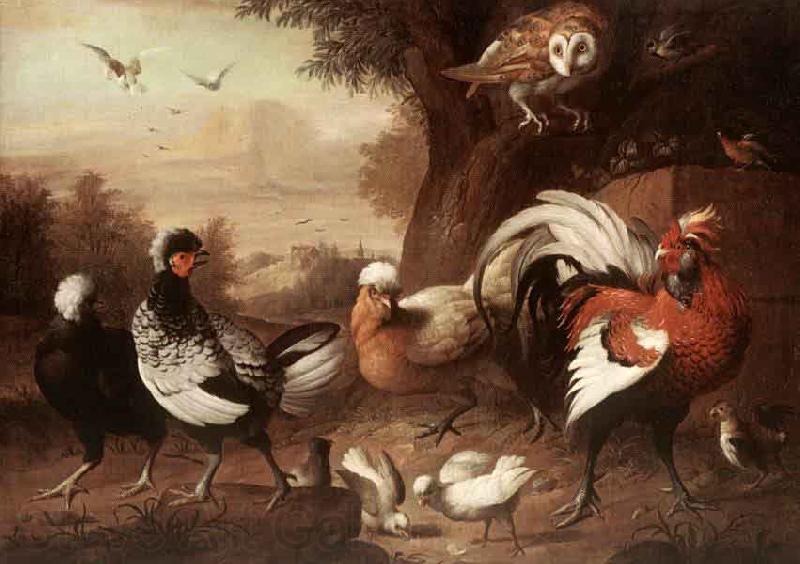 Jakob Bogdani Fowls and Owl France oil painting art